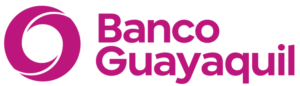 800px-Logo_bg_2020